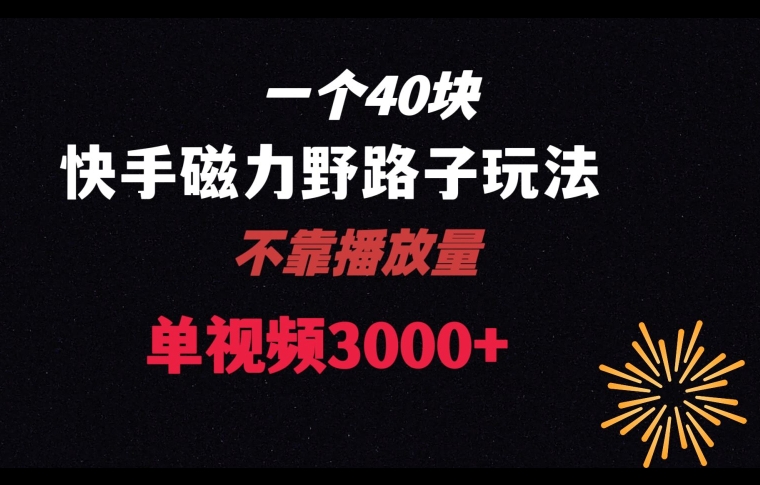 一个40块，快手联合美团磁力新玩法，无视机制野路子玩法，单视频收益4位数【揭秘】-小齐资源库
