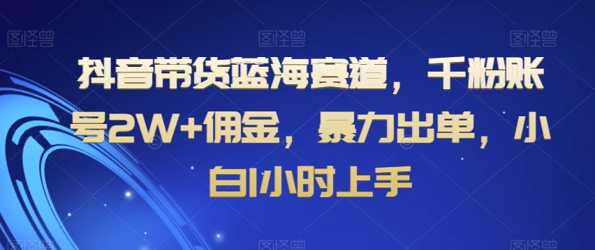 抖音带货蓝海赛道，千粉账号2W+佣金，暴力出单，小白1小时上手【揭秘】-小齐资源库