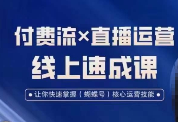 视频号付费流实操课程，付费流✖️直播运营速成课，让你快速掌握视频号核心运营技能-小齐资源库