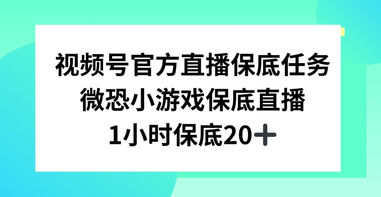 视频号直播任务，微恐小游戏，1小时20+【揭秘】-小齐资源库