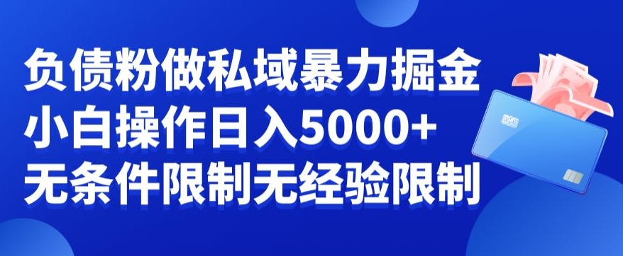 负债粉私域暴力掘金，小白操作入5000，无经验限制，无条件限制【揭秘】-小齐资源库