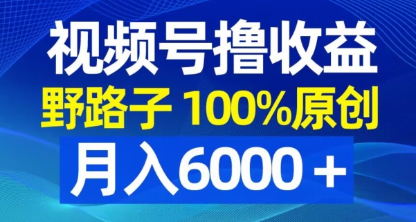 视频号野路子撸收益，100%原创，条条爆款，月入6000＋【揭秘】-小齐资源库