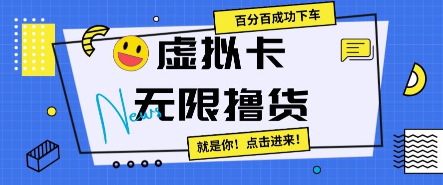 虚拟卡无限撸货，百分百成功下车【仅揭秘】-小齐资源库