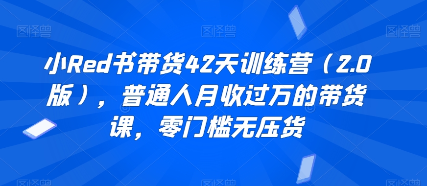 小Red书带货42天训练营（2.0版），普通人月收过万的带货课，零门槛无压货-小齐资源库