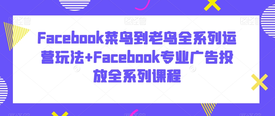Facebook菜鸟到老鸟全系列运营玩法+Facebook专业广告投放全系列课程-小齐资源库