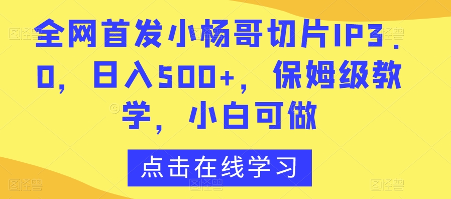全网首发小杨哥切片IP3.0，日入500+，保姆级教学，小白可做【揭秘】-小齐资源库