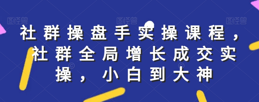 社群实操课程，社群全局增长成交实操，小白到大神-小齐资源库