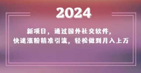 2024新项目，通过国外社交软件，快速涨粉精准引流，轻松做到月入上万【揭秘】-小齐资源库