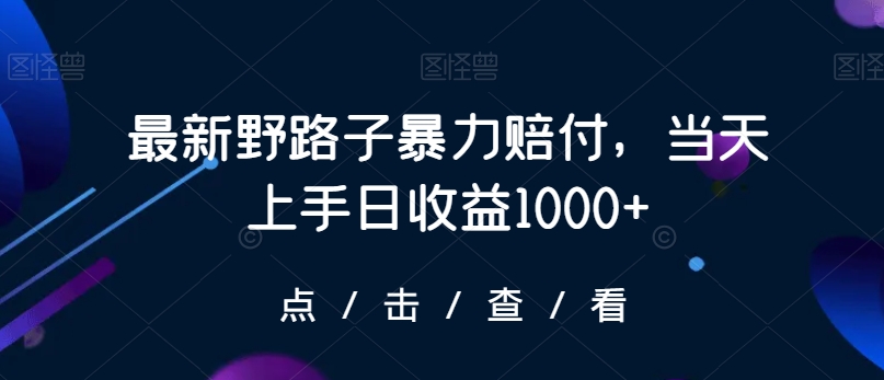 最新野路子暴力赔付，当天上手日收益1000+【仅揭秘】-小齐资源库