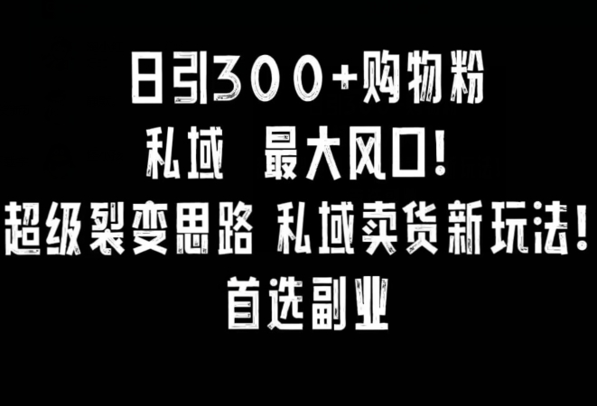 日引300+购物粉,超级裂变思路,私域卖货新玩法,小红书首选副业【揭秘】-小齐资源库
