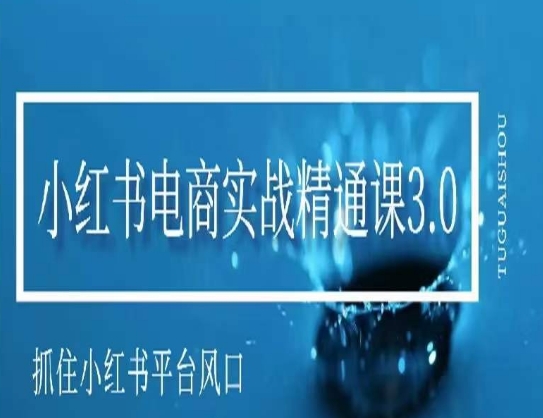小红书电商实战精通课3.0，抓住小红书平台的风口，不错过有一个赚钱的机会-小齐资源库