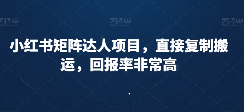 小红书矩阵达人项目，直接复制搬运，回报率非常高-小齐资源库