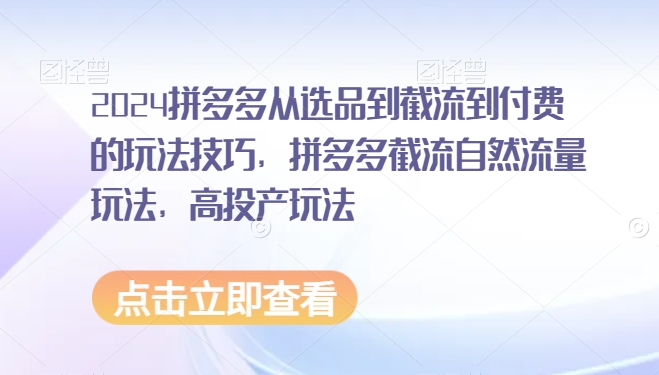 2024拼多多从选品到截流到付费的玩法技巧，拼多多截流自然流量玩法，高投产玩法-小齐资源库