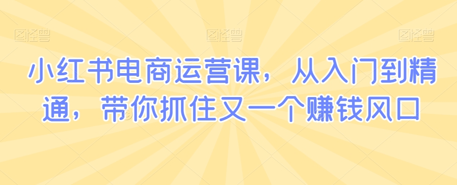 小红书电商运营课，从入门到精通，带你抓住又一个赚钱风口-小齐资源库