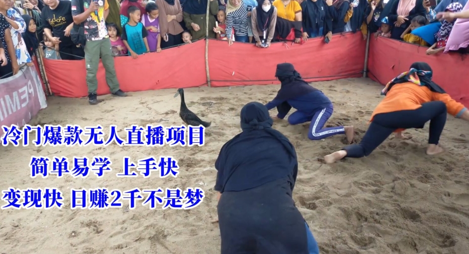 冷门爆款无人直播项目，简单易学上手快，变现快日赚2千不是梦【揭秘】-小齐资源库