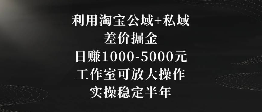 利用淘宝公域+私域差价掘金，日赚1000-5000元，工作室可放大操作，实操稳定半年【揭秘】-小齐资源库