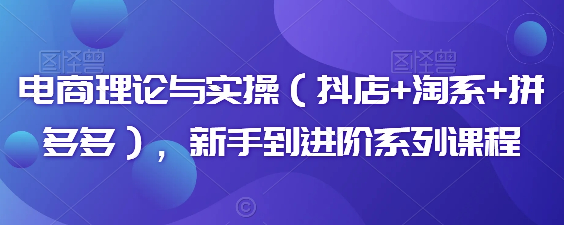 电商理论与实操（抖店+淘系+拼多多），新手到进阶系列课程-小齐资源库