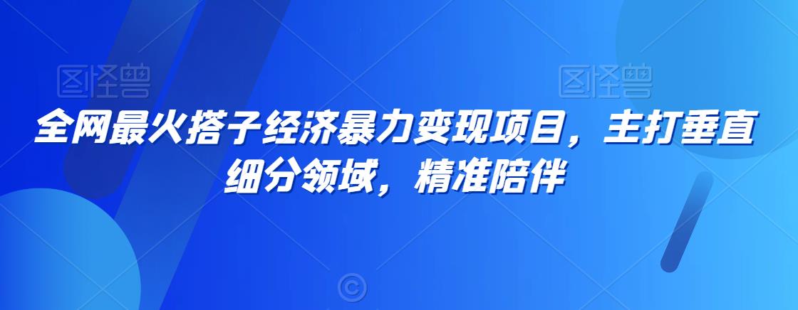 全网最火搭子经济暴力变现项目，主打垂直细分领域，精准陪伴【揭秘】-小齐资源库