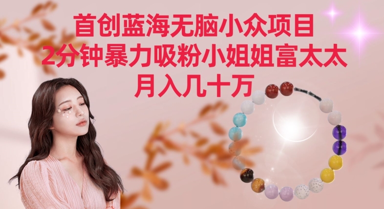 首创蓝海无脑小众项目，2分钟暴力吸粉小姐姐富太太，月入几十万【揭秘】-小齐资源库