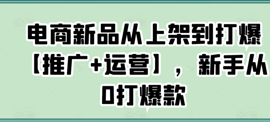 电商新品从上架到打爆【推广+运营】，新手从0打爆款-小齐资源库