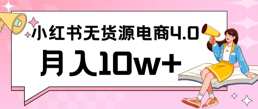小红书新电商实战，无货源实操从0到1月入10w+联合抖音放大收益【揭秘】-小齐资源库