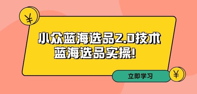 拼多多培训第33期：小众蓝海选品2.0技术-蓝海选品实操！-小齐资源库