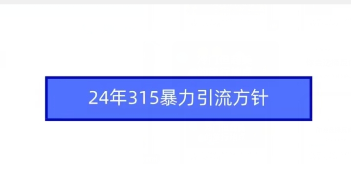 24年315暴力引流方针-小齐资源库