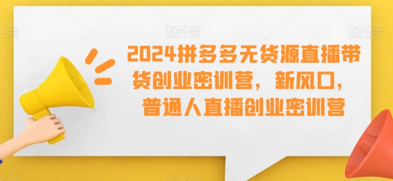 2024拼多多无货源直播带货创业密训营，新风口，普通人直播创业密训营-小齐资源库