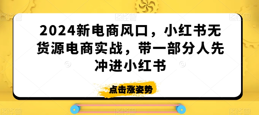 2024新电商风口，小红书无货源电商实战，带一部分人先冲进小红书-小齐资源库