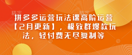 拼多多运营玩法课高阶运营【2月更新】，极致群爆款玩法，轻付费无尽复制等-小齐资源库
