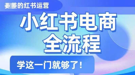 小红书电商全流程，精简易懂，从入门到精通，学这一门就够了-小齐资源库