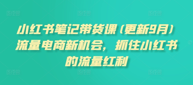 小红书笔记带货课(更新25年3月)流量电商新机会，抓住小红书的流量红利-小齐资源库