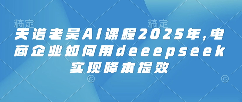 天诺老吴AI课程2025年，电商企业如何用deeepseek实现降本提效-小齐资源库
