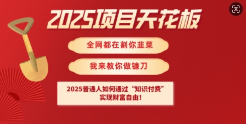 2025项目天花板普通人如何通过知识付费，实现财F自由【揭秘】-小齐资源库