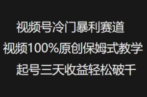 视频号冷门暴利赛道视频100%原创保姆式教学起号三天收益轻松破千-小齐资源库