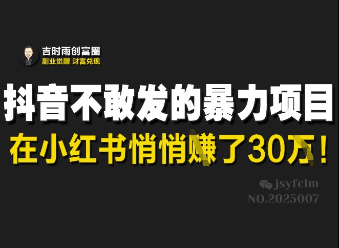 抖音不敢发的暴利项目，在小红书悄悄挣了30W-小齐资源库