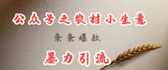 deepseek写农村小项目，条条爆款，暴力引流-小齐资源库