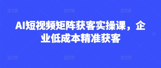 AI短视频矩阵获客实操课，企业低成本精准获客-小齐资源库