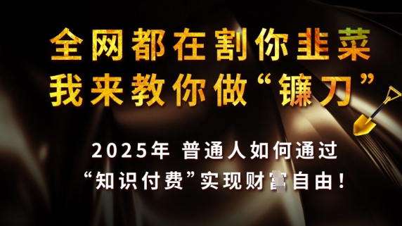全网都在割你韭菜，我来教你做镰刀，2025普通人如何通过知识付费，实现财F自由【揭秘】-小齐资源库