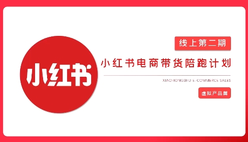 2025小红书虚拟电商实战课，从0到1打造无货源店铺，AI+爆款笔记轻松变现-小齐资源库
