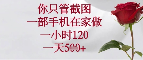 你只管截图，一部手机在家操作，一小时120.一天5张【揭秘】-小齐资源库