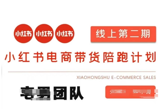 小红书电商带货课2期，月利润20个的小红书电商的有货源，无货源，虚拟产品，付费投流等整套玩法-小齐资源库