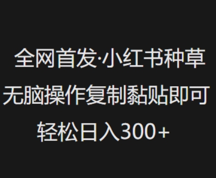全网首发，小红书种草无脑操作，复制黏贴即可，轻松日入3张-小齐资源库