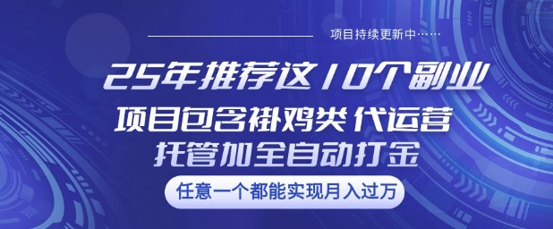 25年推荐这10个副业项目包含褂鸡类、代运营托管类、全自动打金类【揭秘】-小齐资源库
