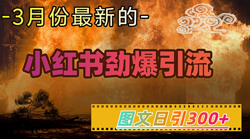 小红书超劲爆引流手段，图文日引300+轻松变现1W-小齐资源库
