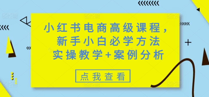 小红书电商高级课程，新手小白必学方法，实操教学+案例分析-小齐资源库