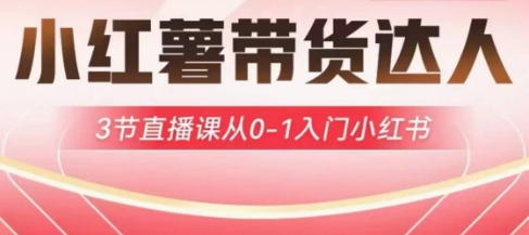 小红薯达人带货启航计划，3节直播课从0-1入门小红书-小齐资源库