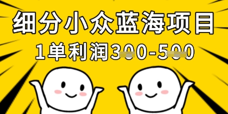 细分小众蓝海项目，一单利润3张，每月收入稳定过1w+-小齐资源库