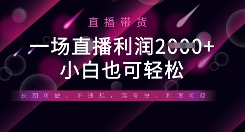 半无人直播带货，一场利润数张，适合所有平台玩法，小白也可轻松-小齐资源库