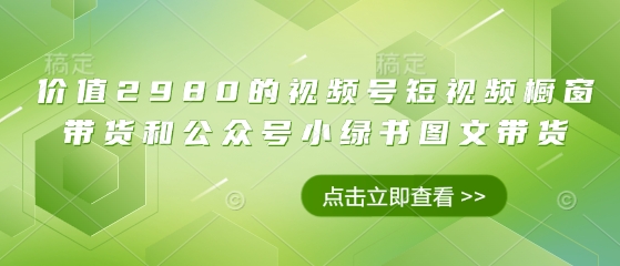 价值2980的视频号短视频橱窗带货和公众号小绿书图文带货-小齐资源库